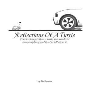Reflections of a Turtle